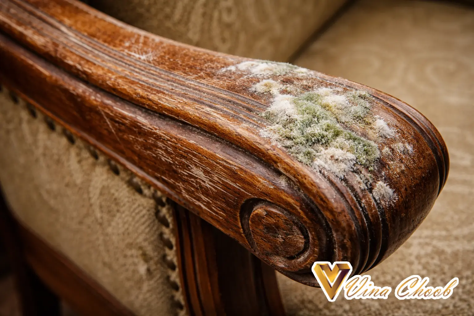 چگونه از خراش و کپک روی مبلمان چوبی محافظت کنیم؟